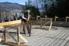 IMG_3484